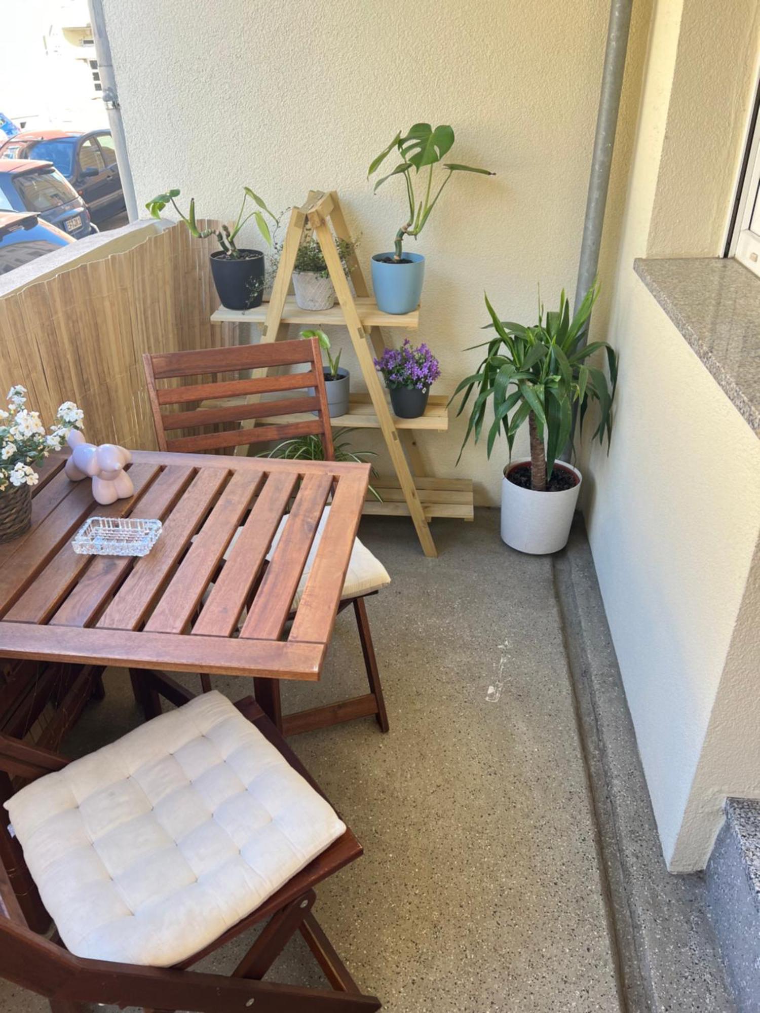 Homestay Benzi エアフルト エクステリア 写真